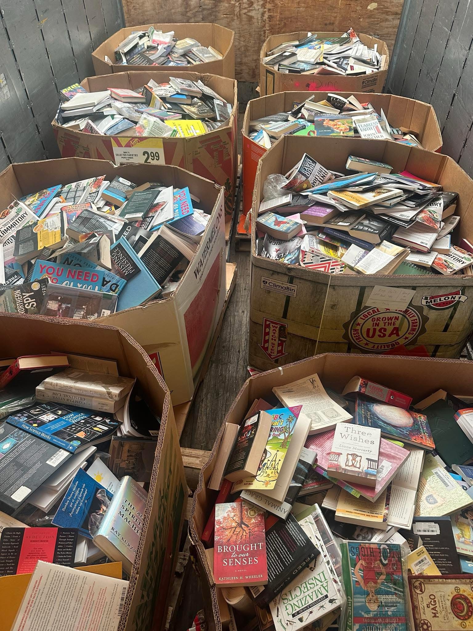 Mixed Books Pallets (900-1000 books per pallet) - Image 2